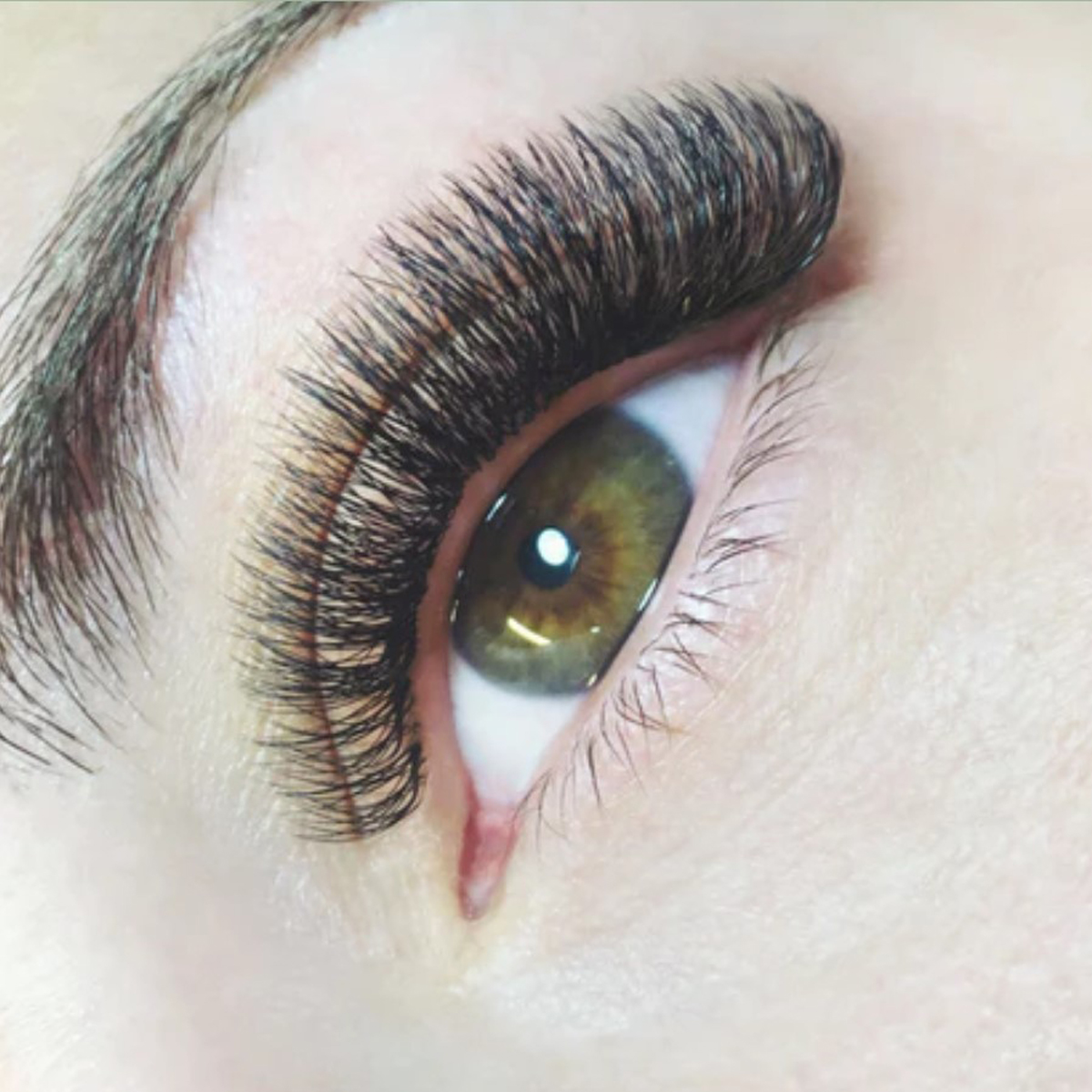 Individual Eyelashes