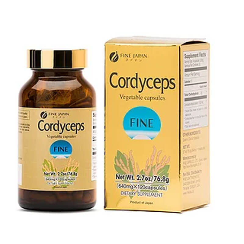 14. Fine Cordyceps